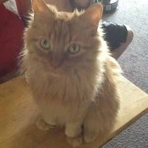 Meet your Posher, Kevin